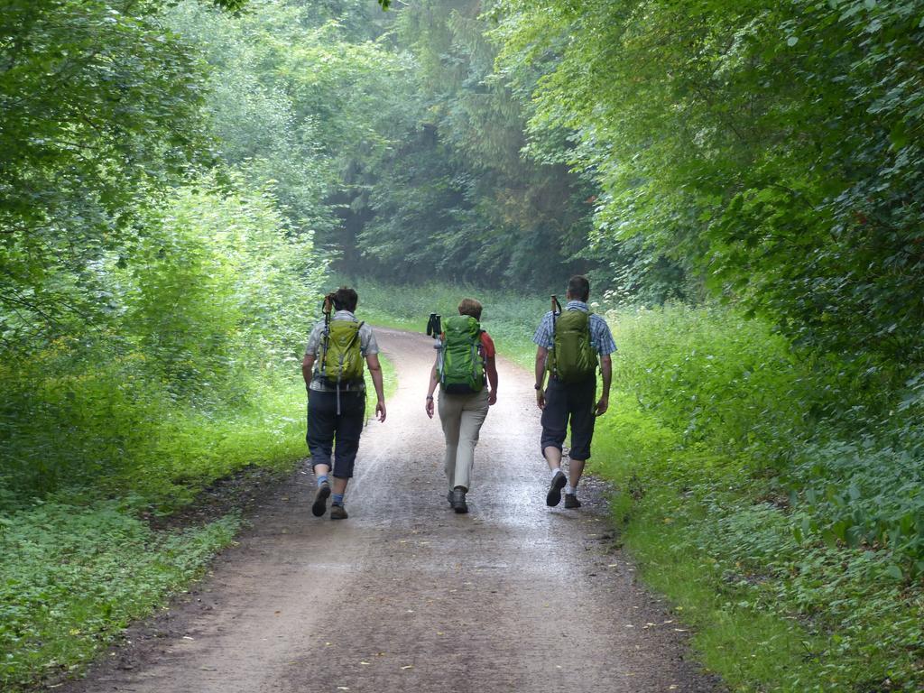 Ferienhaus Fischbachtal Heimbach Zewnętrze zdjęcie