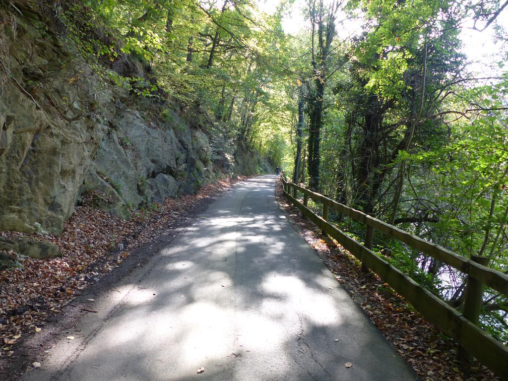 Ferienhaus Fischbachtal Heimbach Zewnętrze zdjęcie